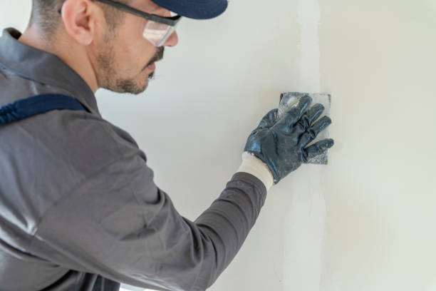 Best Drywall Removal and Disposal  in Grass Valley, CA