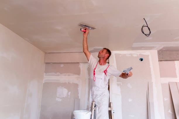 Best Drywall Removal and Disposal  in Grass Valley, CA